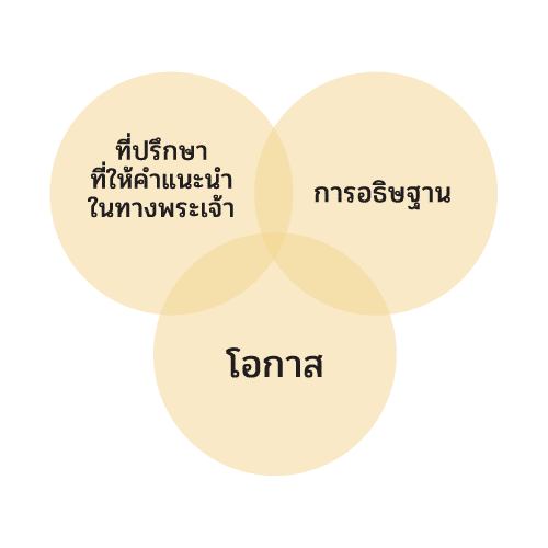 แผนผังการตัดสินใจ 